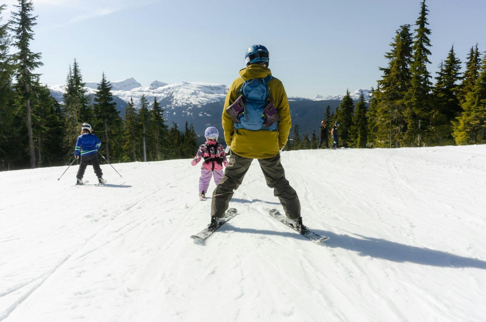 A family skiing together down a wide groomed run between evergreens