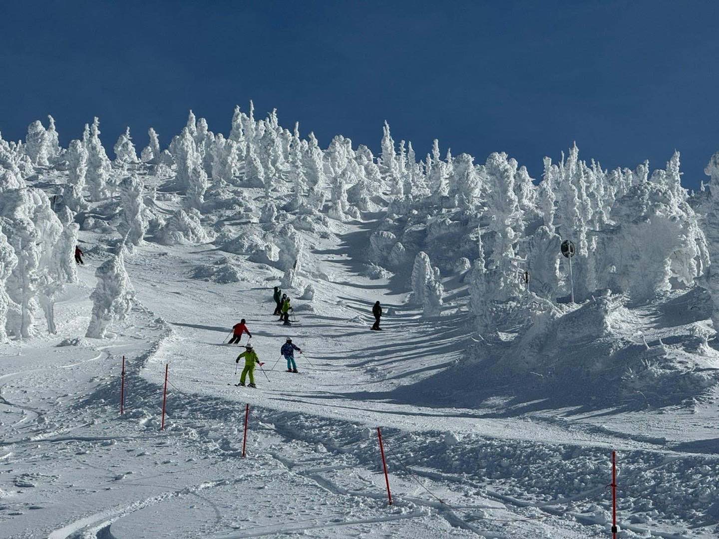 Skiers descending a run lined with snow-covered trees under a blue sky