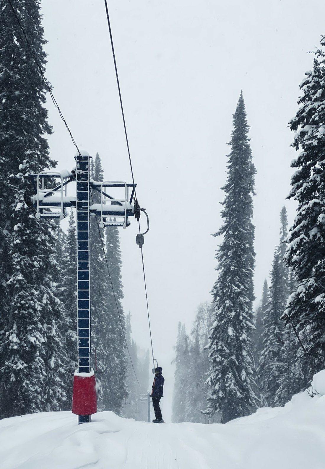 A ski lift line cutting through tall snow-covered spruce trees