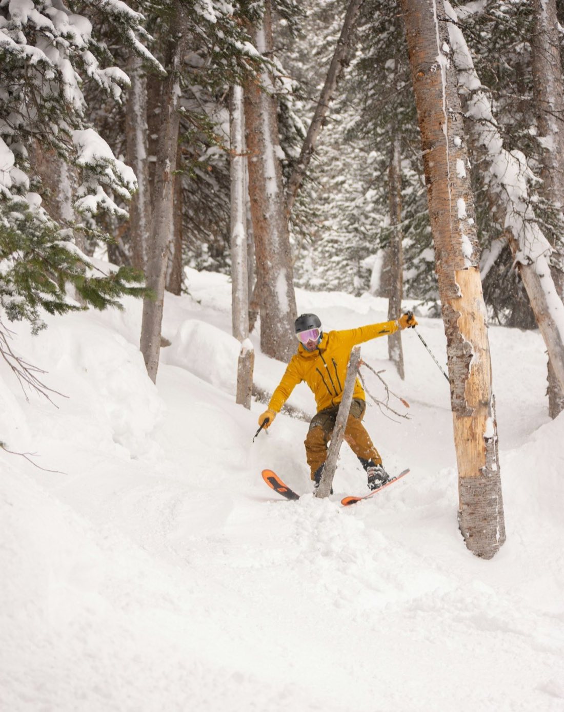 A skier dropping through deep powder between spruce trees